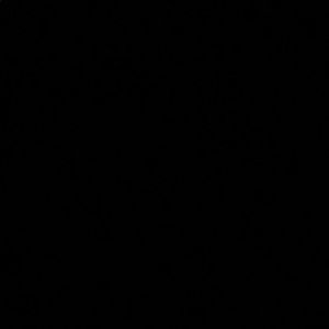 Meet your Posher, Brinson